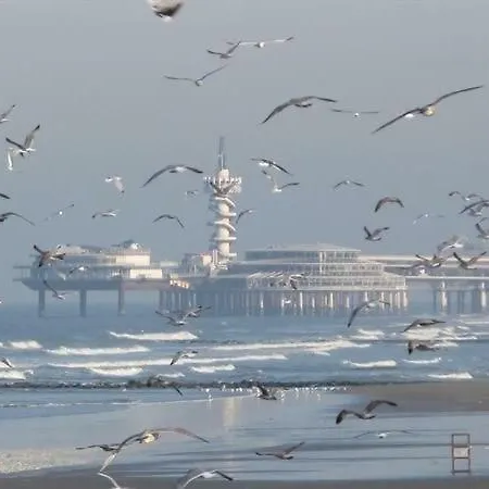 Parel Bij De Zee * Den Haag
